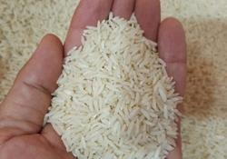  قیمت انواع برنج در بازار+جزییات