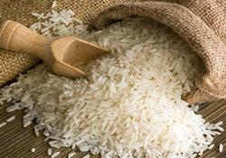 استارت توزیع برنج ارزان