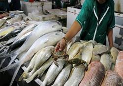 نرخ  انواع ماهی در بازار+جزئیات قیمت