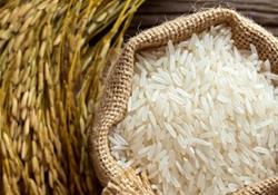  قیمت برنج در تهران نباید بیشتر از ۲۳ هزارتومان باشد