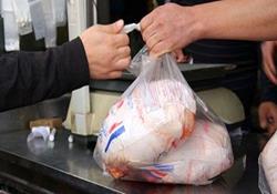 ذخیره‌سازی روزانه بیش از یکهزار تن مرغ گرم