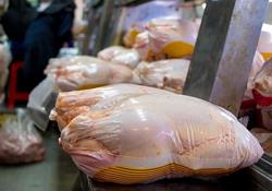 تهدیدات هم قیمت مرغ را پایین نیاورد / اولتیماتوم مجلس به وزارت جهاد کشاورزی 