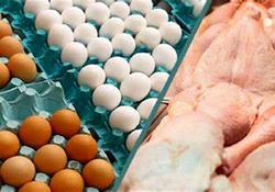 قیمت مرغ و گوشت و تخم‌مرغ گران می‌شود؟