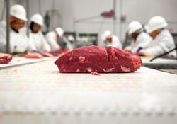 گوشت به شدت کاهش پیدا می‌کند فعلا نخرید + قیمت گوشت
