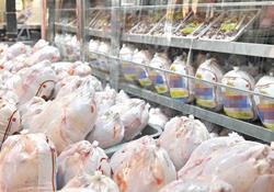 قیمت هر کیلوگرم مرغ به ٢٧ هزار تومان افزایش یافت