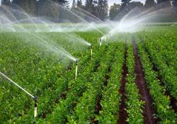 جزئیات افزایش قیمت آب بهای محصولات کشاورزی اعلام شد 