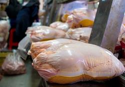  عرضه گوشت مرغ با قیمت ۶۲۹۰۰ تومان در میادین شهر تهران 