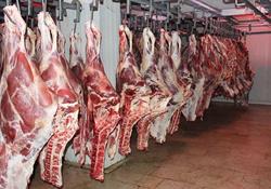  مصرف سرانه گوشت در کشور ۵۰ درصد کاهش یافت