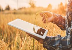 راه اندازی نخستین مدل سکوی دیجیتال در حوزه کشاورزی/ ۳ چالش بخش کشاورزی دیجیتال چیست؟