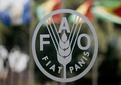 نخستین همایش ملی افزایش بهره‌وری کشاورزی دیم توسط فائو برگزار شد