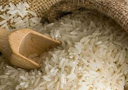 قیمت برنج در ماه رمضان تغییر نمی‌کند