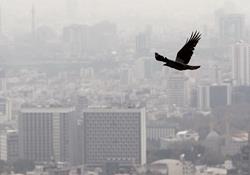 سهم هر یک از منابع آلاینده در آلودگی هوای تهران چه‌قدر است؟/ افزایش 21 درصدی ذرات معلق در پایتخت