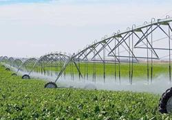 دشت مغان در توسعه شبکه‌ های آبیاری و زهکشی کشاورزی پیشرو است