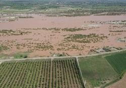 برآورد خسارت ۶ هزار میلیارد تومانی سیل اخیر در بخش کشاورزی