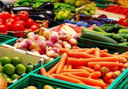 ارزآوری صادرات مواد غذایی چقدر است؟