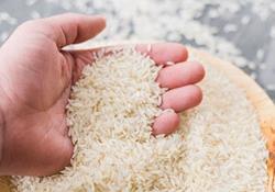 قیمت رسمی برنج اعلام شد