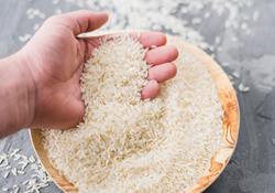 ترمز قیمت برنج کشیده شد/ هر کیلو  ۱۲ تا ۵۸ هزار تومان