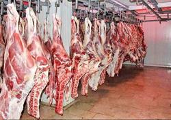 قیمت جدید گوشت گوسفندی و گوساله در بازار 