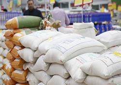 در کشور به روی برنج های خارجی ارزان باز شد 