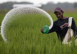 ۷۰ درصد کود کشاورزان یارانه‌ای پرداخت می‌شود 