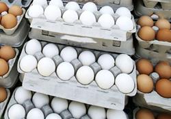  آخرین قیمت تخم‌مرغ در بازار