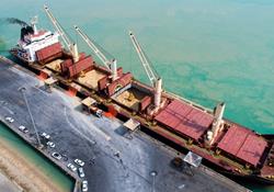 سه کشتی اقیانوس پیمای حامل گندم در خوزستان پهلو گرفتند