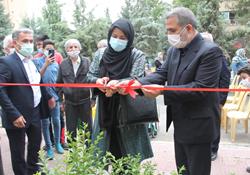 احداث نخستین مزرعه شهروندی منطقه ۴ تهران در محله مجید آباد