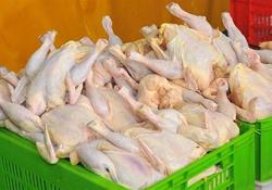 قیمت مصوب مرغ همچنان هر کیلو ۲۰ هزار و ۴۰۰ تومان است
