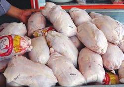 نگرانی مرغداران از کاهش قدرت خرید مردم