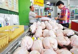 نرخ مرغ در بازار چه قیمتی شد؟