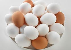 هر ایرانی سالانه ۲۰۰ عدد تخم مرغ می‌خورد