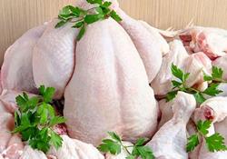 قیمت مرغ در بازار آزاد به ۱۳۵۰۰تومان کاهش یافت