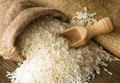 برنج ارزان با نقشه بی‌سروصدای دولت وارد کشور خواهد شد؟