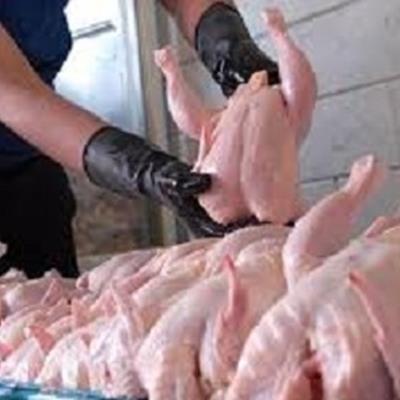 قیمت مرغ به چه شرطی کاهش می‌یابد؟