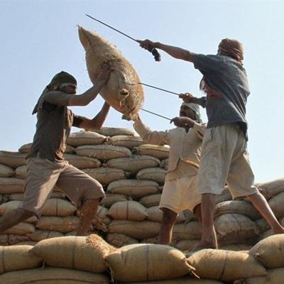 چرا واردات برنج و چای از هند ممنوع شد؟ 