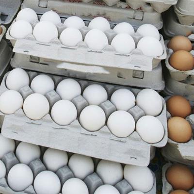  ادعای عجیب مرغداران/ تخم مرغ به قیمت واقعی نزدیک شده است!