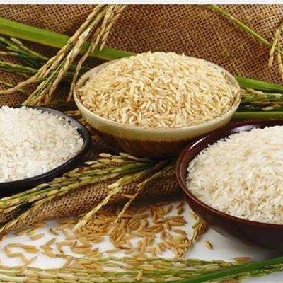 اعتراض گمرک به ممنوعیت جدید واردات برنج