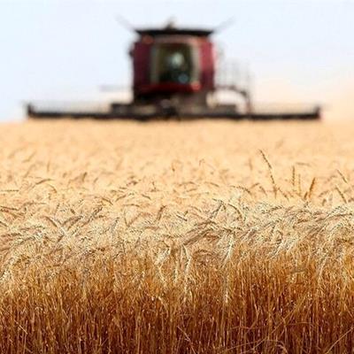 نرخ خرید تضمینی محصولات کشاورزی هفته آینده اعلام می‌شود 