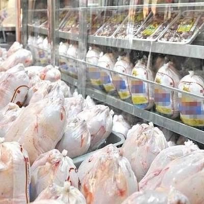 صادرات مرغ تا اطلاع ثانوی ممنوع شد