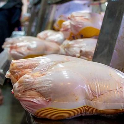 تهدیدات هم قیمت مرغ را پایین نیاورد / اولتیماتوم مجلس به وزارت جهاد کشاورزی 
