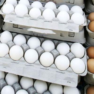  قیمت هر شانه تخم مرغ به 100 هزار تومان رسید 
