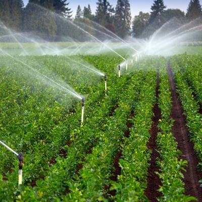 جزئیات افزایش قیمت آب بهای محصولات کشاورزی اعلام شد 
