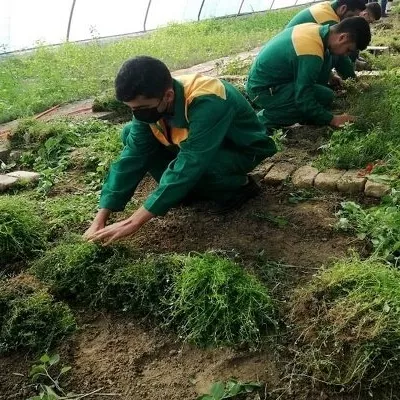 هنرستان کشاورزی الگوی توسعه و پیشرفت کشاورزی است