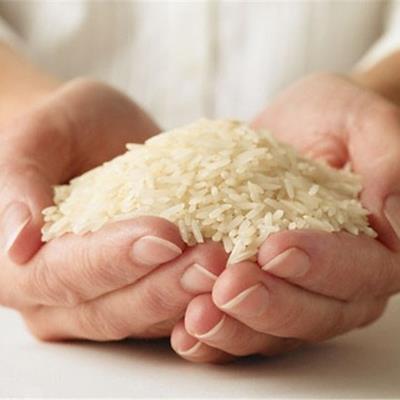 قیمت برنج درجه یک ایرانی کاهش یافت 