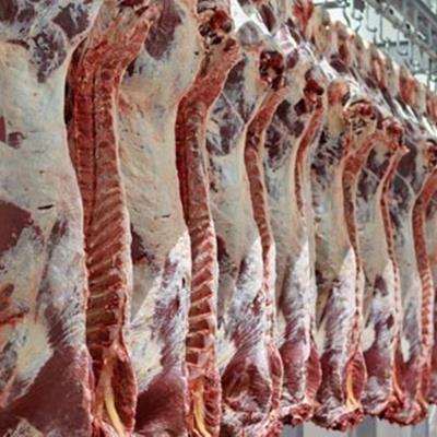معاون وزیر جهاد کشاورزی: تولید گوشت در کشور به یک‌میلیون تن در سال می‌رسد