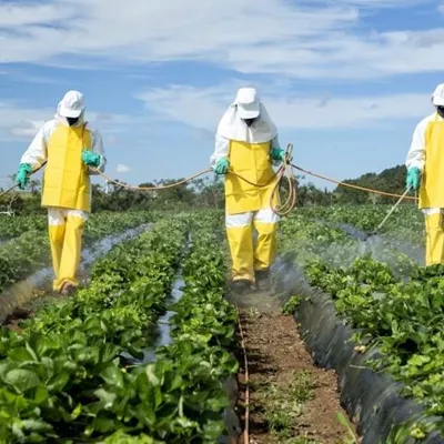 هشدار در خصوص سموم محصولات کشاورزی؛جان مردم درخطراست