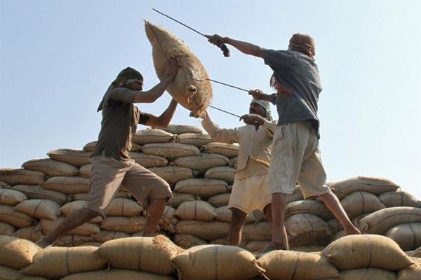 چرا واردات برنج و چای از هند ممنوع شد؟ 