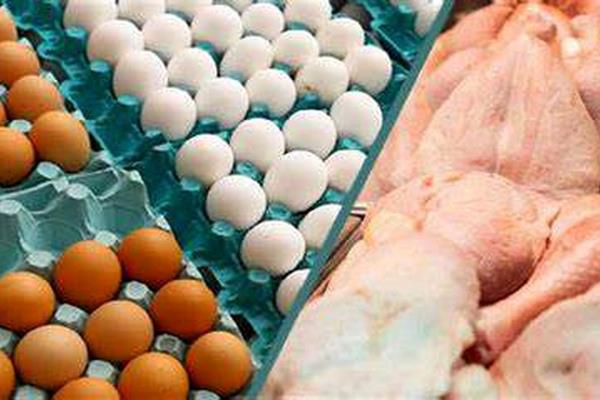 قیمت مرغ و گوشت و تخم‌مرغ گران می‌شود؟