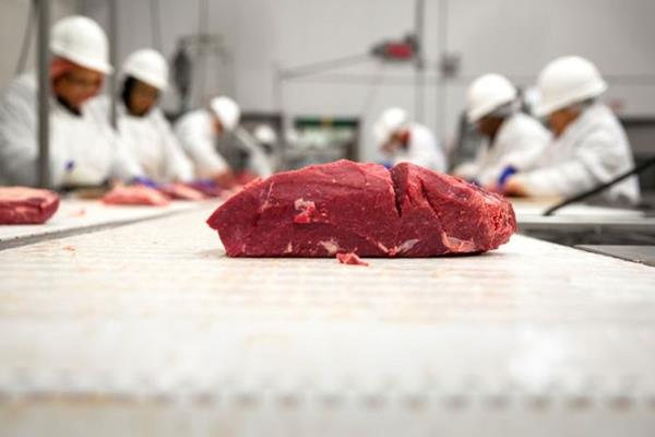 گوشت به شدت کاهش پیدا می‌کند فعلا نخرید + قیمت گوشت