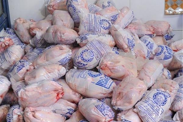 ۱۱۰۰ تن مرغ منجمد برای جبران کمبود تولید داخل وارد می شود 